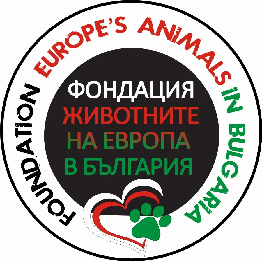 Foundation Europe’s animals in Bulgaria