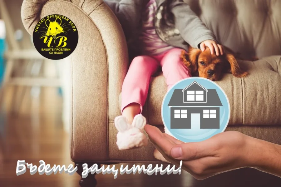 Pest Control Banner