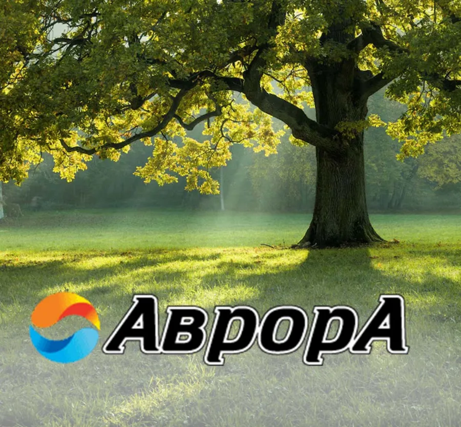 Corporate Website of the AvrorA Funeral Home in Plovdiv - avroratraur website by GetSEO