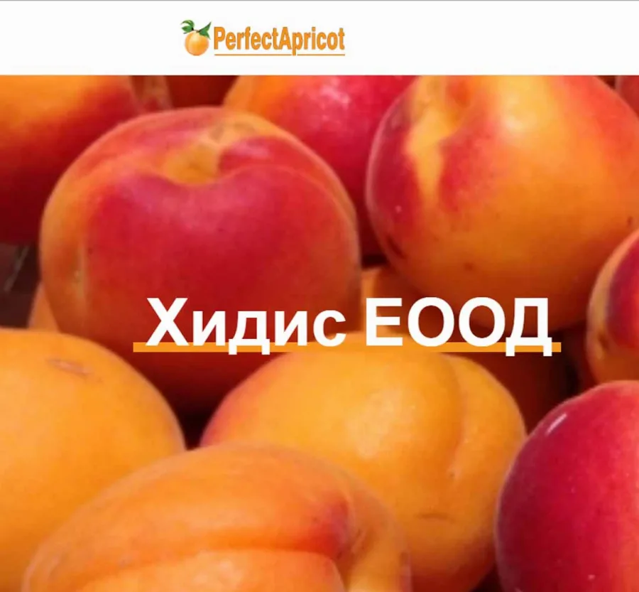 Development of a corporate website for Hidis EOOD website by GetSEO