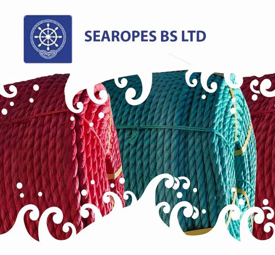 Development of corporate website SEAROPES BS LTD website by GetSEO