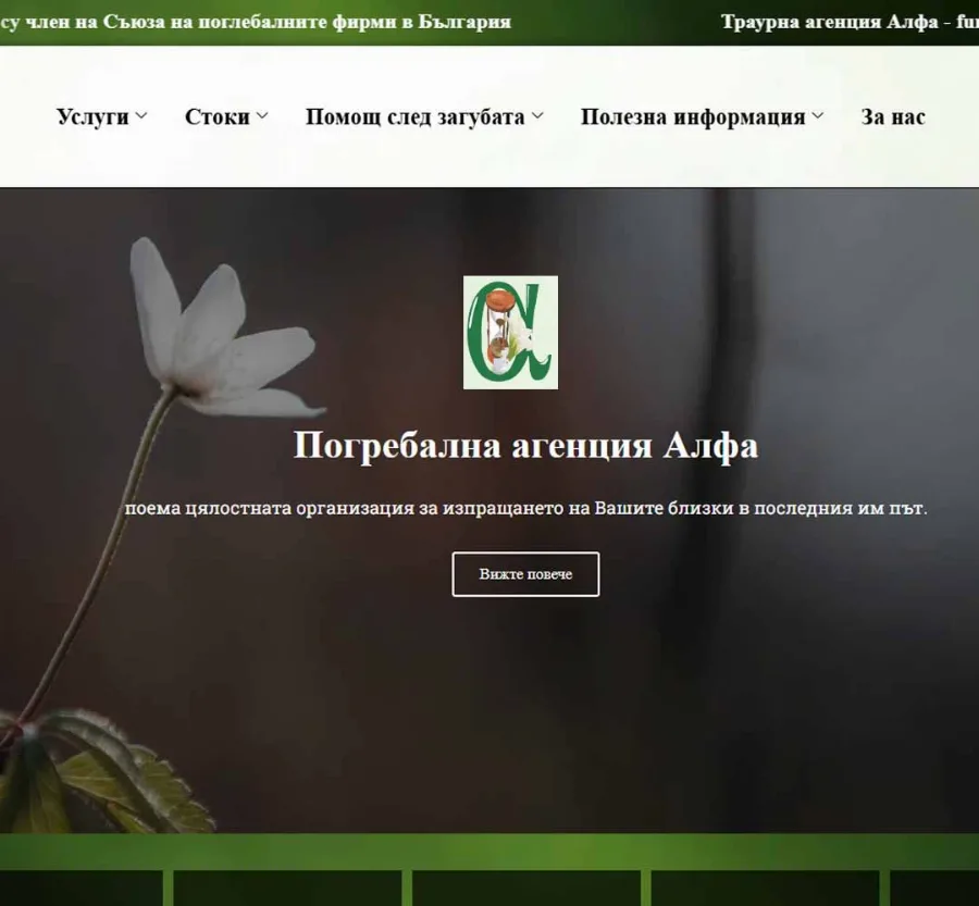 Development of the Alfanik Corporate Website website by GetSEO