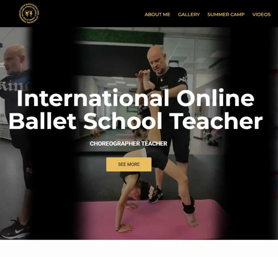 Development of the Balletworld.net corporate website website by GetSEO